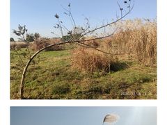 -良渚古城遗址公园