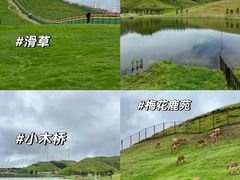 -仰天湖大草原