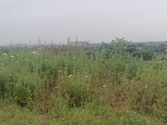 -沣峪口