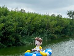 -黄海国家森林公园