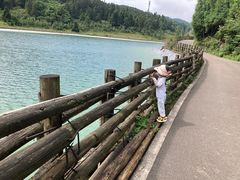 -武陵山森林公园
