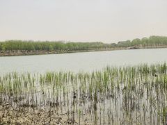 -北京麋鹿生态实验中心