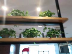 -比格比萨自助(康巴什店)