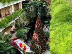 -广州白天鹅宾馆