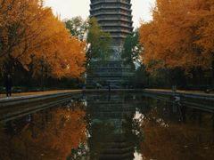 -玲珑塔公园