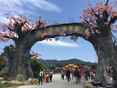 天适樱花悠乐园-天适樱花悠乐园