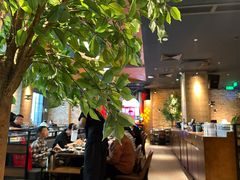 -同仁四季椰子鸡(无锡滨湖万象汇店)