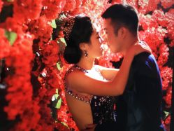 点击看大图 -保定巴黎婚纱摄影