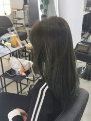 -蚂蚁造型沙龙