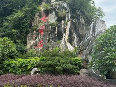 -星湖旅游景区七星岩