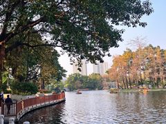 -荔湾湖公园