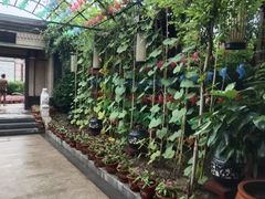 -悦隆庄温泉度假酒店