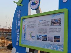 -烟墩角天鹅湖