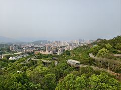 -福道