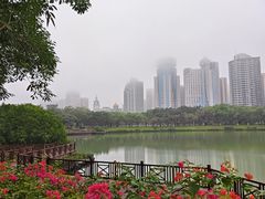 -万绿园