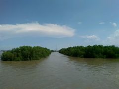 android_upload_pic-海鸥岛