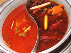 -青瓷火锅料理(西单大悦城店)