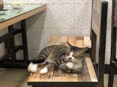 -玉椰林甜品店(创始店)