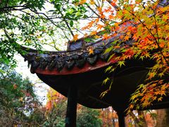 -上海醉白池公园