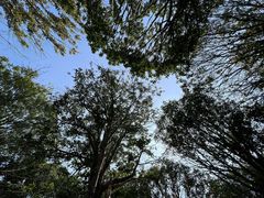 -西北杂粮筐凉皮大王(龙湖·北城天街购物广场店)