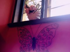 -芳满庭·江浙小馆(1912店)