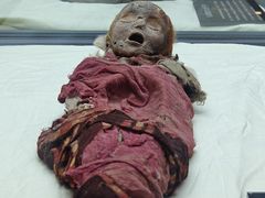 -巴音郭楞蒙古自治州博物馆