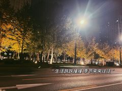 -一尺花园(安和花园店)