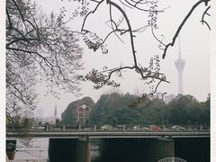 -成都市活水公园