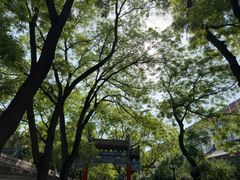 -北京国子监胡同
