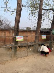 -上美四季动物农场