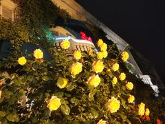 -成桂西餐厅·42年的味道(五大道疙瘩楼店)