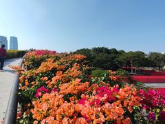 -云溪植物园