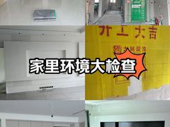 -大树装饰·十年本土家装