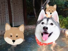 -汇雅温泉