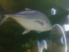 -沙沙哗啦海洋馆(华宇百花谷店)