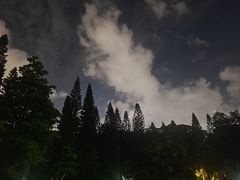 -广州雕塑公园
