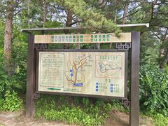 -帽儿山国家森林公园