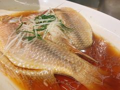 清蒸红星斑-华盛丰温州大排档(东三环南路店)