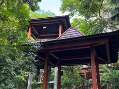 -七仙岭温泉国家森林公园