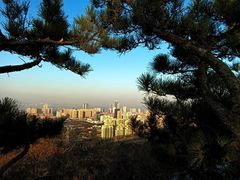 -龙口南山旅游景区