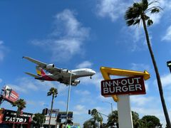 -In-N-Out Burger(LAX)