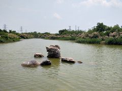 -大港湿地公园
