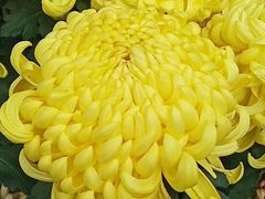 -萌渔·金牌蒜香烤鱼(临安万华广场店)