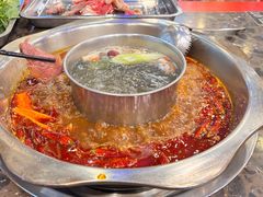 -金鼎雪山牦牛杂火锅(理县总店)