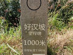 -梧桐山风景名胜区