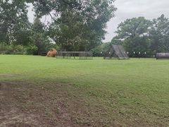 -嘉北郊野公园