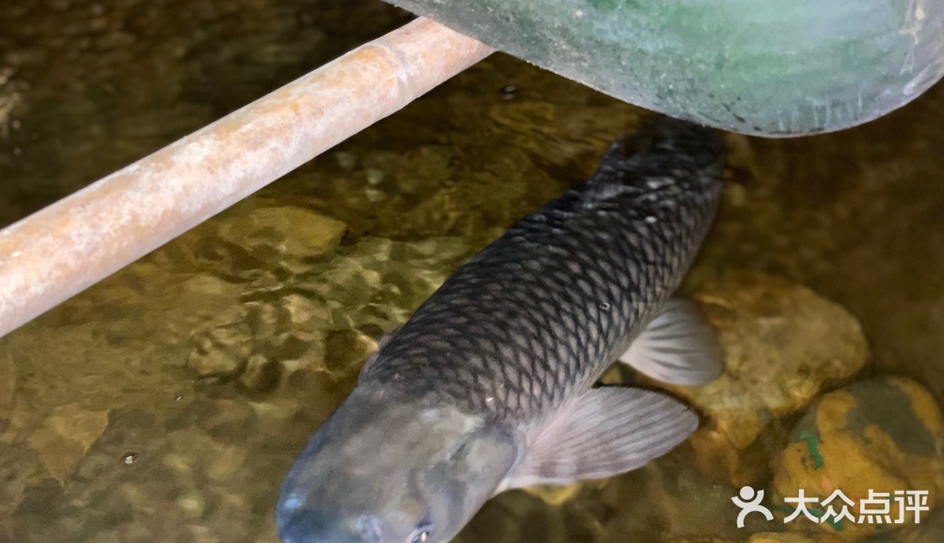 后面根本停不下来,香脆之余还有一点点粘口,不会太甜