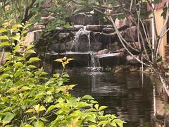 -三亚海棠湾南田温泉神龙谷