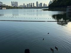 -南宁南湖公园