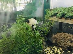 -无锡动物园·太湖欢乐园